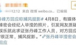 大瓜爆料预告最新版下载,揭秘娱乐圈独家猛料，独家下载通道开启！